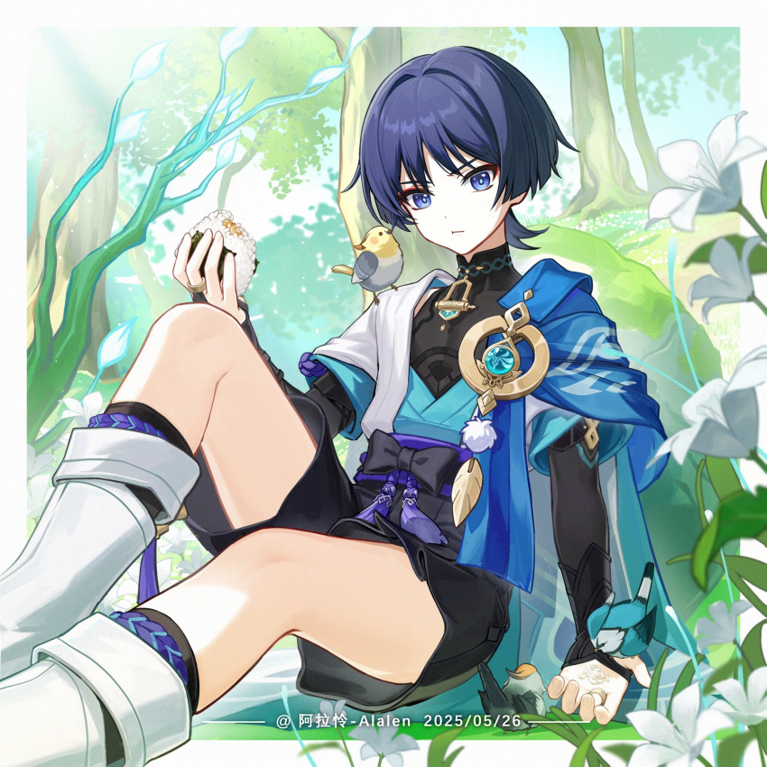 1boy, alalen_nelala, bird, black_shorts, blue_eyes, blue_hair, closed_mouth, eating, flower, food, full_body, genshin_impact, highres, holding, holding_food, japanese_clothes, looking_at_viewer, male_focus, onigiri, outdoors, scaramouche_(genshin_impact), short_hair, shorts, sitting, solo, vision_(genshin_impact), wanderer_(genshin_impact), white_flower