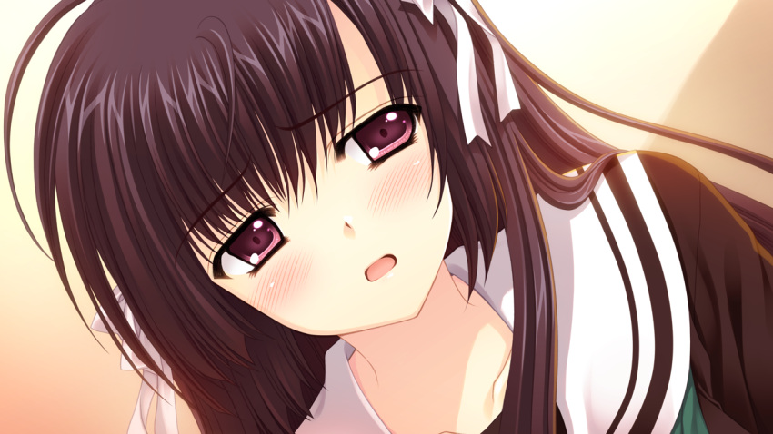 1girl, black_hair, close, game_cg, hananomiya_ako, long_hair, nishimata_aoi, purple_eyes