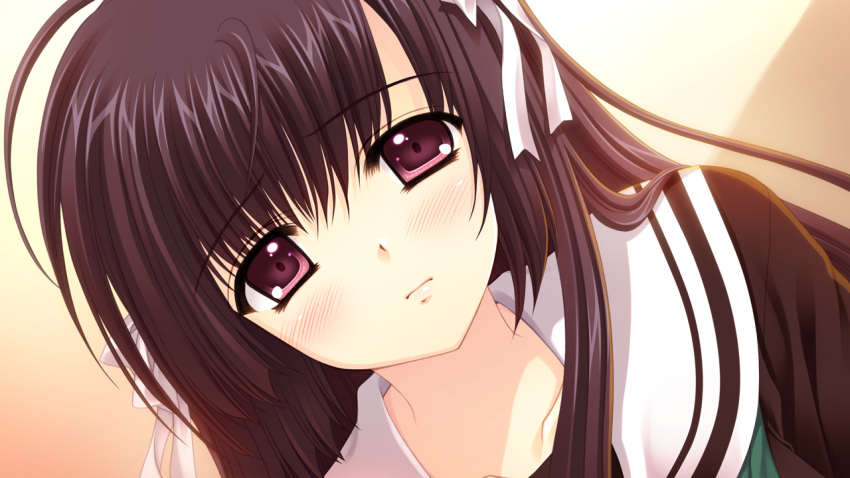 1girl, black_hair, close, game_cg, hananomiya_ako, long_hair, nishimata_aoi, purple_eyes