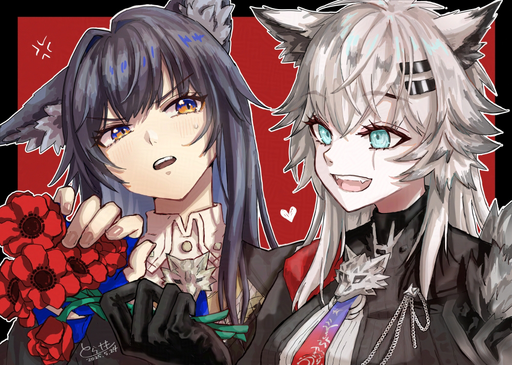 2girls, anger_vein, animal_ear_fluff, animal_ears, aqua_eyes, arknights, black_gloves, black_hair, black_jacket, blue_gloves, blush, collared_shirt, fingerless_gloves, flower, gloves, grey_hair, hair_between_eyes, hair_ornament, hairclip, heart, holding, holding_flower, jacket, lappland_(arknights), lappland_the_decadenza_(arknights), long_hair, long_sleeves, messy_hair, multiple_girls, necktie, poppy_(flower), portrait, red_flower, scar, scar_across_eye, scar_on_face, shirt, teeth, texas_(arknights), texas_the_omertosa_(arknights), torasaki, upper_teeth_only, white_shirt, wing_collar, wolf_brooch, wolf_ears, wolf_girl