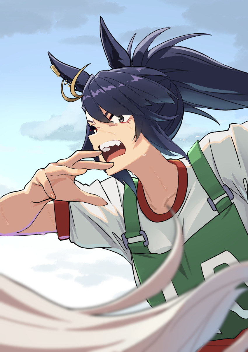 2girls, absurdres, black_eyes, black_hair, blacky_ale_(umamusume), blue_sky, blurry, blurry_foreground