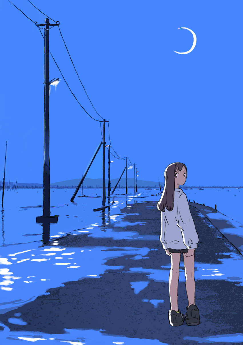 1girl, arms_at_sides, black_shoes, closed_mouth, commentary_request, from_behind, full_body, grey_eyes