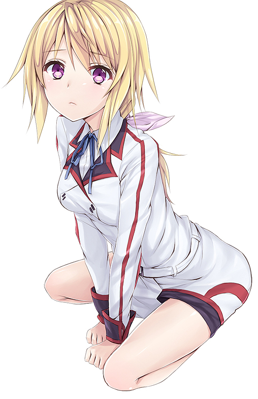 blush, charlotte_dunois, ds_mairu, face, infinite_stratos, purple_eyes, short_hair, sitting