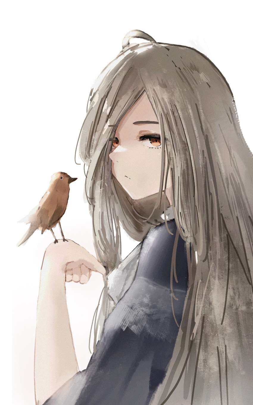 1girl, absurdres, ahoge, bird, bird_on_hand, blonde_hair, blue_dress, brown_eyes, closed_mouth, dress, hand_up, hazuki_kono, highres, long_hair, looking_at_viewer, sense_(sousou_no_frieren), simple_background, solo, sousou_no_frieren, stille_(sousou_no_frieren), upper_body, white_background
