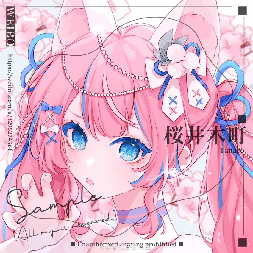 1girl, animal_ear_fluff, animal_ears, beads, blue_eyes, blue_hair, blue_ribbon, bow, cat_ears, ccha, cherry_blossoms, choker, claw_pose, colored_eyelashes, commentary_request, fingernails, floral_background, flower, hair_beads, hair_bow, hair_flower, hair_ornament, hair_ribbon, highres, light_particles, lily_of_the_valley, long_hair, loose_hair_strand, multicolored_hair, original, pink_flower, pink_hair, puffy_sleeves, purple_choker, ribbon, sample_watermark, shirt, single_stripe, solo, streaked_hair, striped_choker, too_many_watermarks, twintails, upper_body, watermark, weibo_watermark, white_background, white_bow, white_flower, white_shirt