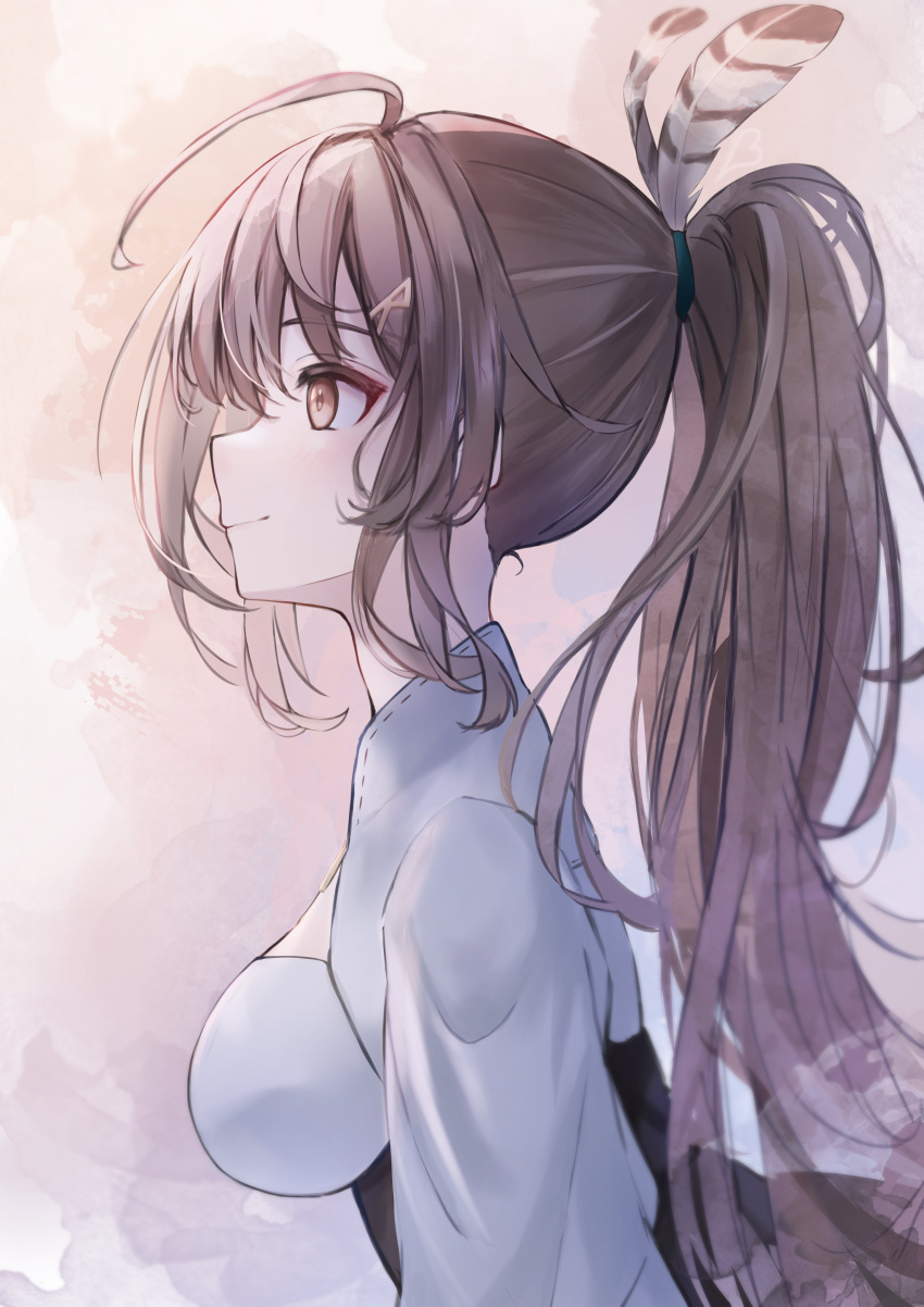 1girl, absurdres, ahoge, brown_background, brown_corset, brown_eyes, brown_hair, corset