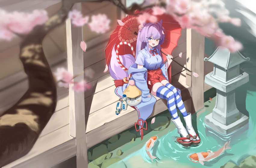 1girl, absurdres, blue_eyes, blurry, cherry_blossoms, collared_shirt, commentary, cone_hair_bun, day, depth_of_field, fish, fox_tail, hair_bun, heterochromia, highres, inari_(tenko_shibuki), jacket, japanese_clothes, koi, long_hair, looking_at_viewer, mikiri, miniskirt, off_shoulder, oil-paper_umbrella, orange_eyes, petals, purple_hair, purple_jacket, purple_shirt, red_skirt, sandals, shirt, short_sleeves, sitting, skirt, solo, stellive, striped_clothes, striped_thighhighs, tabi, tail, tenko_shibuki, thigh-highs, umbrella, veranda, virtual_youtuber, wide_shot, zouri