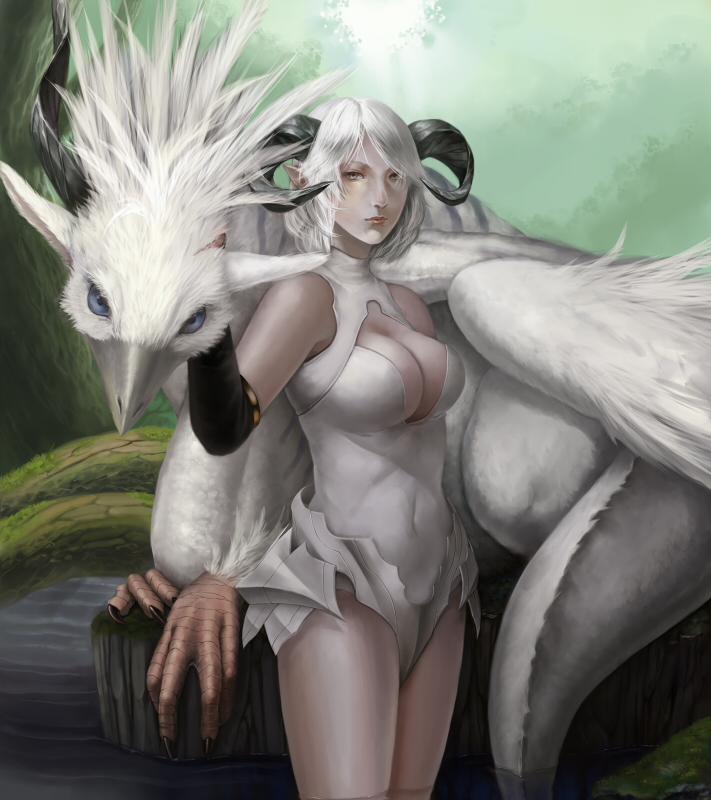 beak, bird_legs, breasts, cleavage, creature, elbow_gloves, gloves, grey_beak
