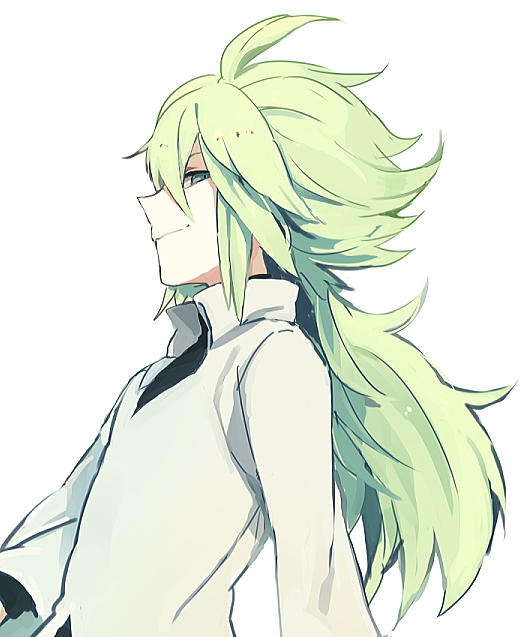 bad_id, green_eyes, green_hair, hoo, long_hair, male, n_(pokemon), pokemon