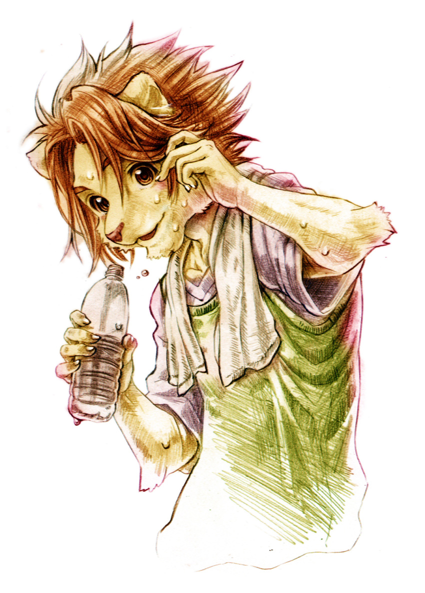 1boy, animal_ears, blush, bottle, claws, commentary_request, furry, furry_male