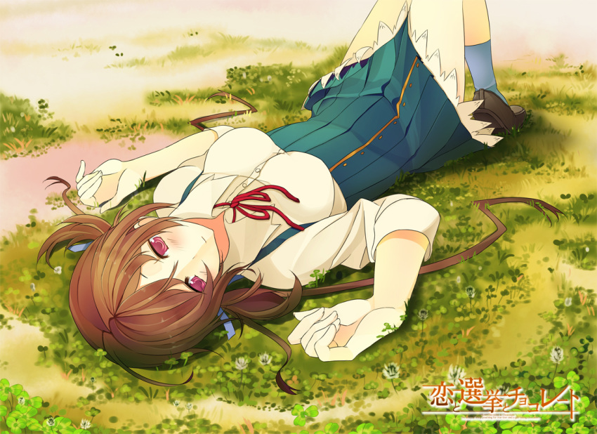 aomi_isara, brown_hair, clover, clover_(flower), grass, koi_to_senkyo_to_chocolate, lying, minoinomi