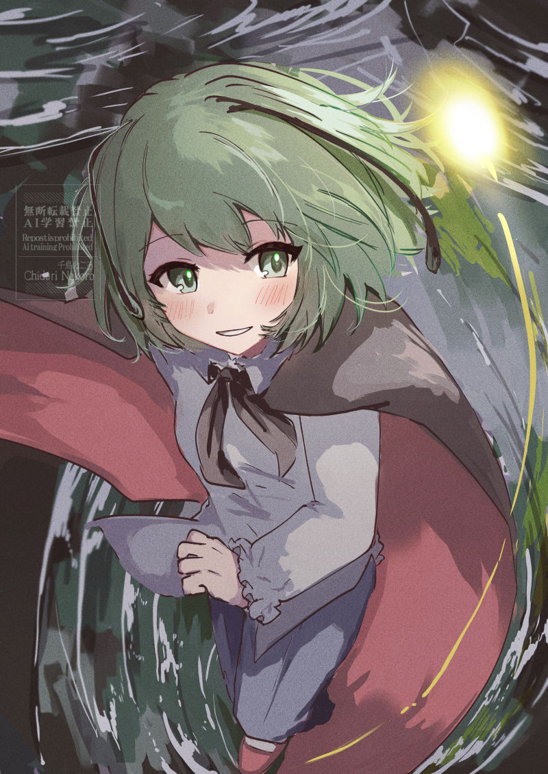 1girl, antennae, black_cape, blue_shorts, blush, bug, cape, chidori_nekoro, collared_shirt, commentary_request, cowboy_shot, firefly, green_eyes, green_hair, grin, long_sleeves, red_cape, shirt, short_hair, shorts, smile, solo, touhou, two-sided_cape, two-sided_fabric, white_shirt, wriggle_nightbug
