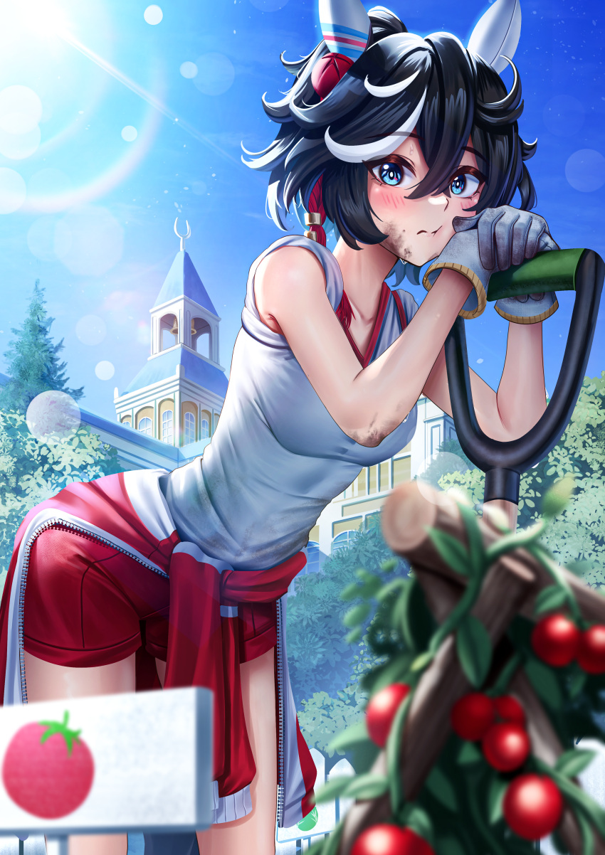 1girl, absurdres, animal_ears, black_hair, blue_eyes, blush, breasts, closed_mouth