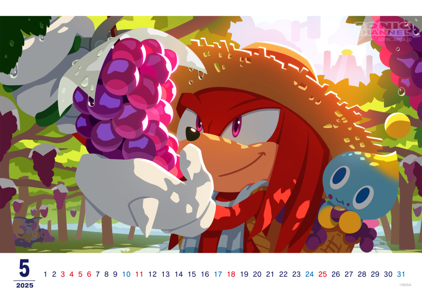 1boy, 2025, absurdres, chao_(sonic), closed_mouth, day, echidna_boy, food, fruit, gloves, grapes, hat, highres, holding, holding_food, holding_fruit, knuckles_the_echidna, official_art, outdoors, red_fur, solo, sonic_(series), sonic_channal, sonic_channel, straw_hat, sun_hat, tree, violet_eyes, white_gloves