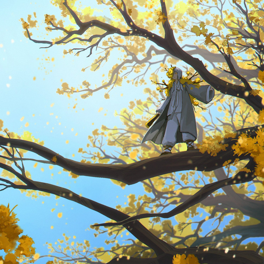 1girl, blue_sky, closed_mouth, coat, day, dongbaek_(project_moon), e.g.o_(project_moon), flaw_eight, flower, full_body, grey_coat, hanbok, highres, jacket, korean_clothes, limbus_company, long_sleeves, looking_at_viewer, outdoors, pants, project_moon, short_hair, sky, solo, spicebush_(e.g.o), standing_on_branch, sunlight, white_hair, white_hanbok, white_jacket, white_pants, wide_shot, wide_sleeves, yellow_eyes, yellow_flower