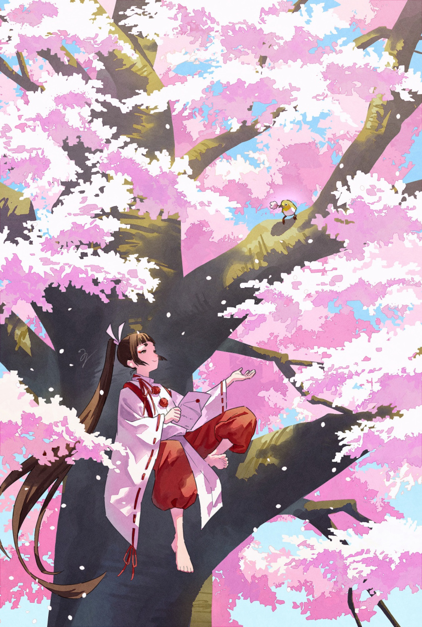 1girl, animal, baby_animal, barefoot, bird, blunt_bangs, brown_hair, cherry_blossoms
