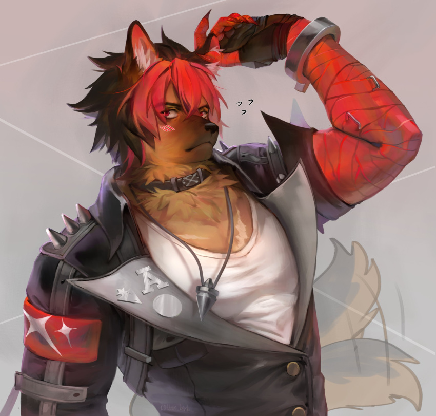 1boy, absurdres, animal_ears, bandaged_arm, bandages, black_choker, black_jacket, blush, choker, collar, cotton_(cotton_birb), furrification, furry, furry_male, highres, jacket, jewelry, komano_manato, leather, leather_jacket, multicolored_hair, muscular, muscular_male, necklace, red_eyes, scar, shirt, snout, solo, tail, white_shirt, zenless_zone_zero