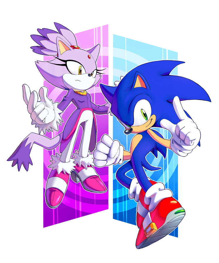 1boy, 1girl, blaze_the_cat, chaosc0ntr0l, closed_mouth, forehead_jewel, frown, full_body