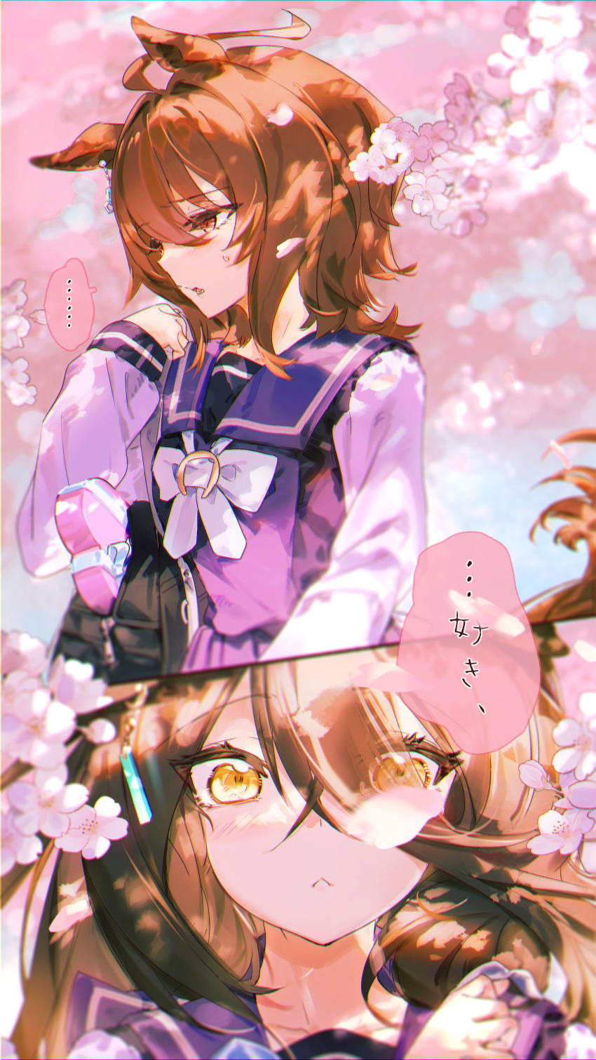 2girls, :<, absurdres, agnes_tachyon_(umamusume), ahoge, animal_ears, black_hair, blush, box, brown_hair, cherry_blossoms, confession, ear_tag, hair_between_eyes, heart, heart-shaped_box, highres, horse_ears, horse_girl, horse_tail, kumano_iroha, long_hair, long_hair_between_eyes, long_sleeves, manhattan_cafe_(umamusume), medium_hair, multiple_girls, outdoors, purple_sailor_collar, purple_shirt, red_eyes, sailor_collar, school_uniform, shirt, speech_bubble, tail, tracen_school_uniform, translation_request, umamusume, upper_body, yellow_eyes