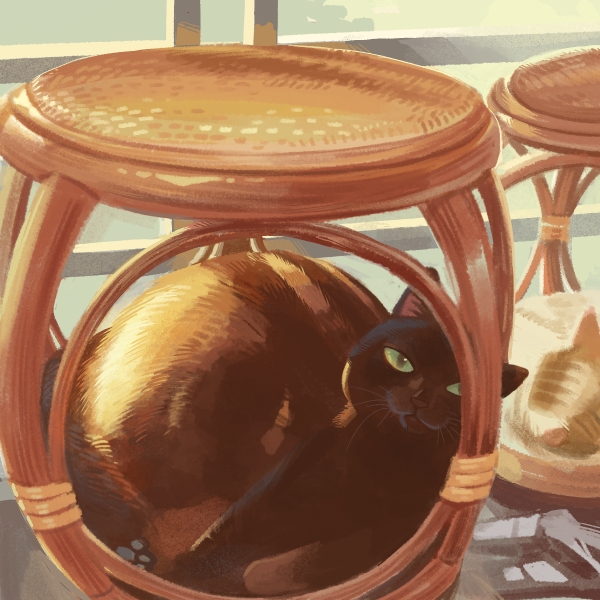 black_eyes, cat, chinese_commentary, commentary_request, green_eyes, looking_at_viewer, natsukijia, no_humans