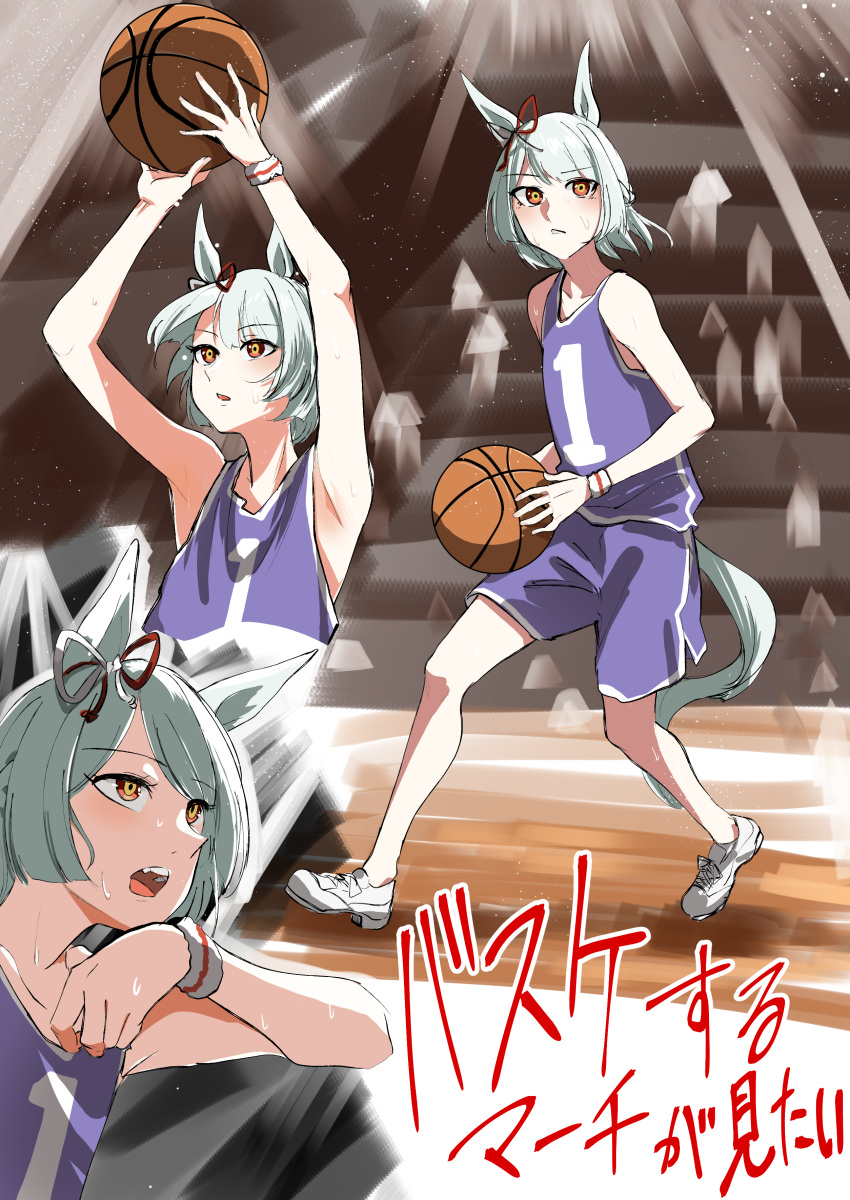absurdres, animal_ears, ball, basketball, basketball_(object), basketball_court, basketball_uniform, blue_shirt