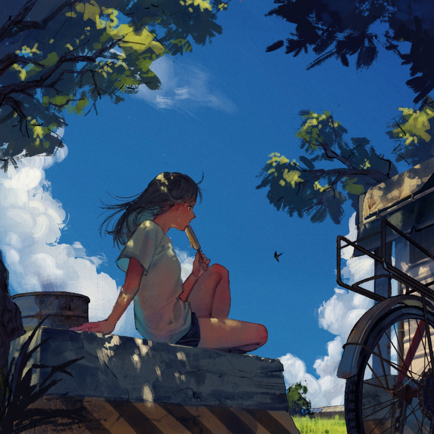 1girl, amo_(amo_0514), arm_behind_back, arm_support, bare_legs, bicycle, black_hair, black_shorts