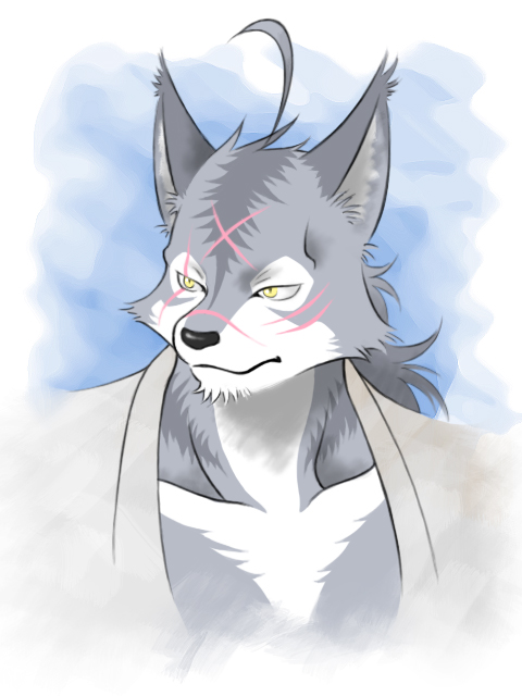 1boy, ahoge, animal_ears, closed_mouth, commentary_request, cross_scar, dougi, furry, furry_male, looking_to_the_side, male_focus, morenatsu, multiple_scars, scar, scar_across_eye, scar_on_cheek, scar_on_face, scar_on_forehead, scar_on_nose, shirako_(kirupi), ten_kodori, upper_body, wolf_boy, wolf_ears