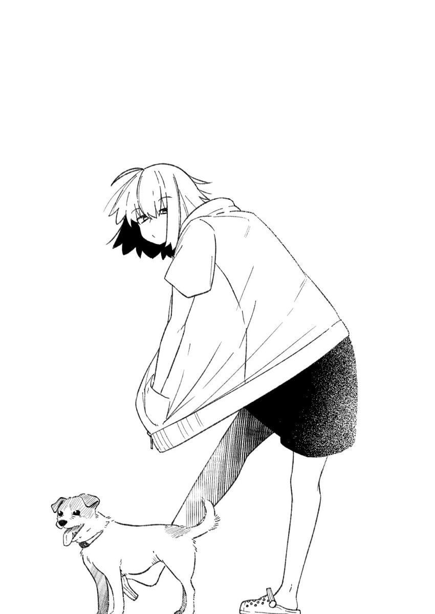 1girl, ahoge, alternate_costume, animal, contemporary, crocs, dog, fate/grand_order