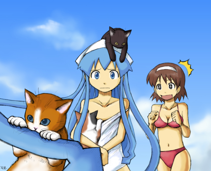 animal_on_head, brown_eyes, brown_hair, cat, cat_on_head, dress, hairband, hat