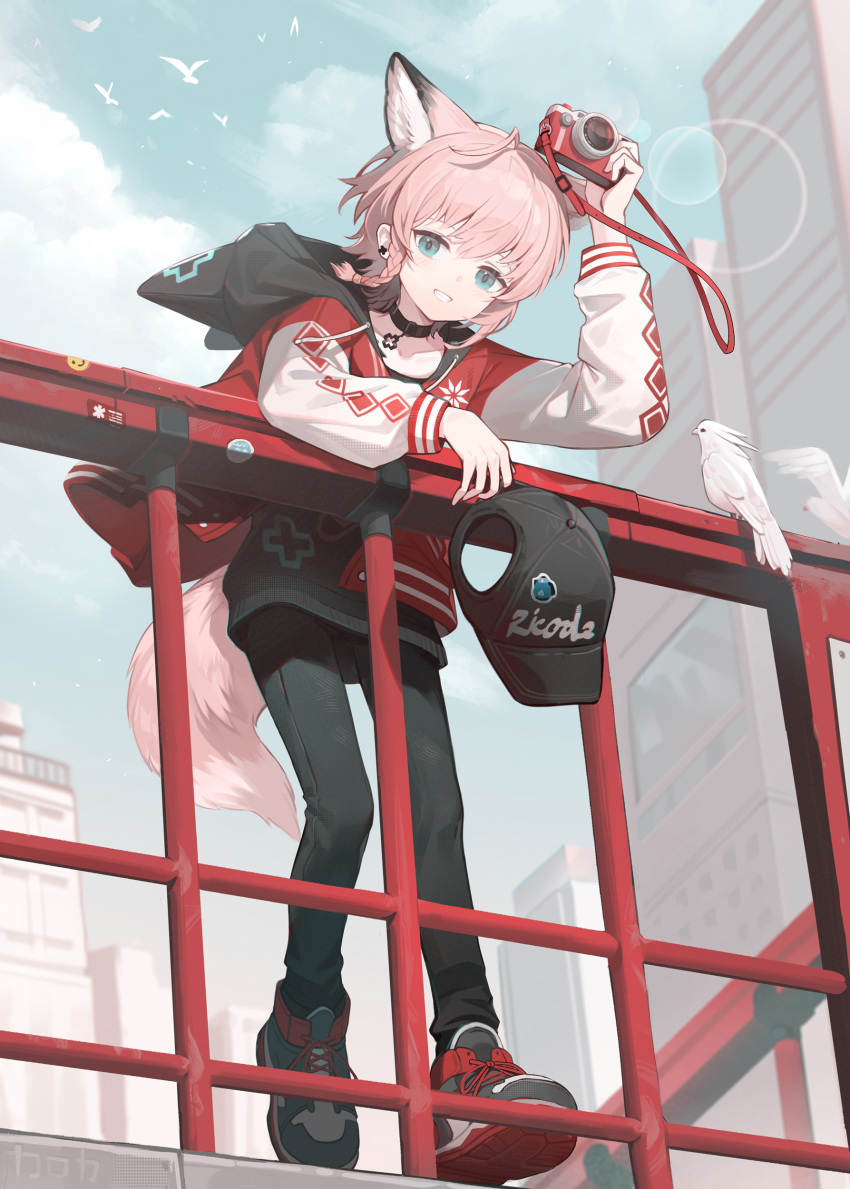 1girl, absurdres, animal_ears, arknights, bird, camera, commentary_request, fox_ears, fox_tail, highres, holding, holding_camera, hood, jacket, karoro, official_alternate_costume, outdoors, pink_hair, shoes, solo, sussurro_(arknights), sussurro_(travel_freely)_(arknights), tail