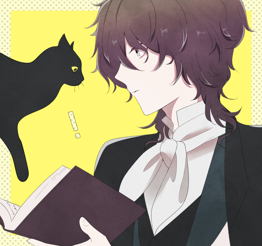!, 1boy, animal, black_cat, book, border, brown_hair, bungou_stray_dogs