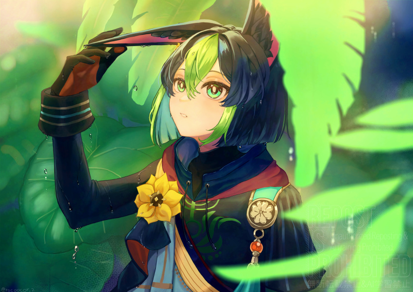 1boy, animal_ear_fluff, animal_ears, black_gloves, black_hair, black_hood, commentary_request, drawstring