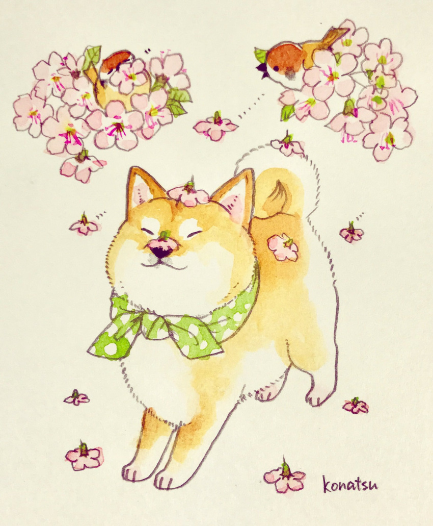 :3, animal, animal_focus, bird, cherry_blossoms, closed_eyes, commentary_request, curled_tail
