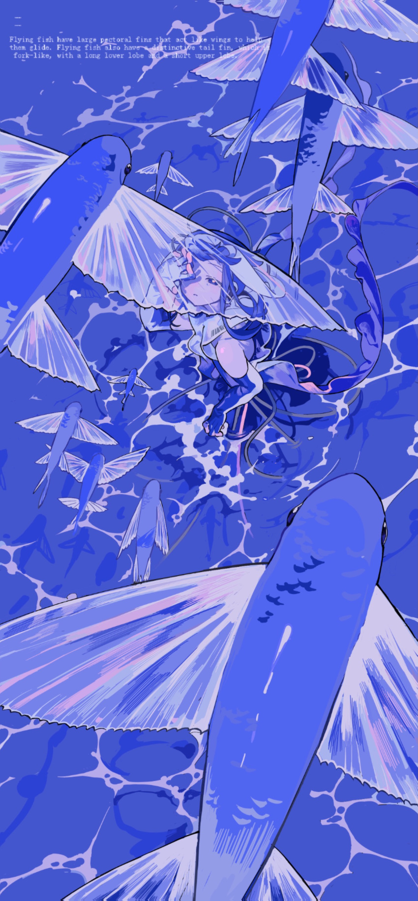1other, absurdres, bare_shoulders, blue_theme, bright_pupils, cable, dajiafengfan25164, english_text