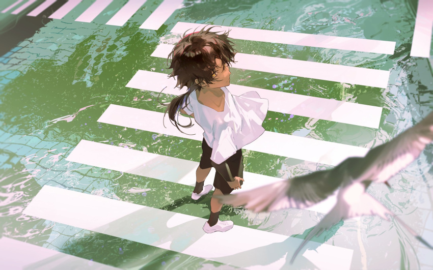 1boy, animal, arknights, bird, black_shorts, black_socks, brown_hair, crosswalk
