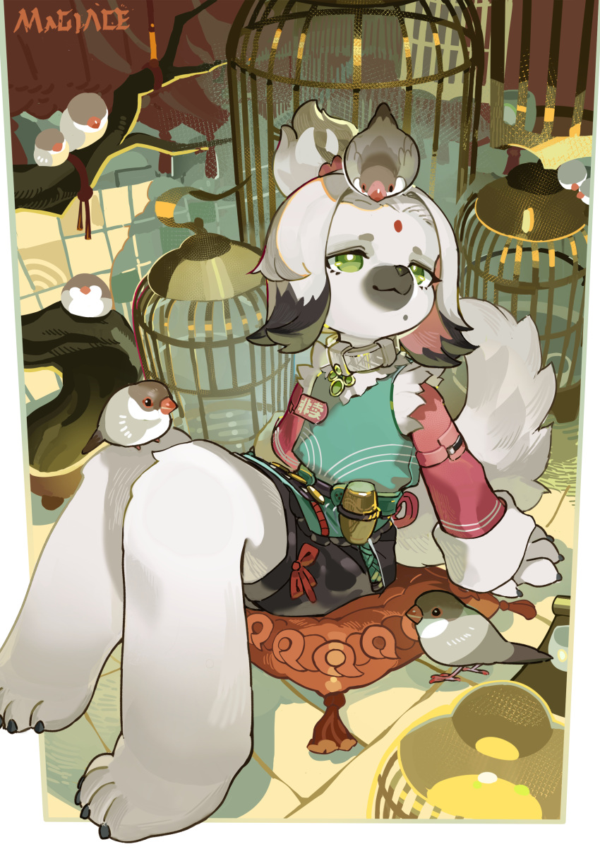 1girl, absurdres, animal_on_head, bird, bird_on_head, birdcage, black_hair, branch, cage, cairn_(zenless_zone_zero), chinese_clothes, closed_mouth, collar, cushion, dog_girl, facial_mark, forehead_mark, furry, furry_female, green_eyes, highres, long_sleeves, magiace, mole, mole_under_mouth, multicolored_hair, on_head, signature, sitting, solo, tassel, topknot, zenless_zone_zero