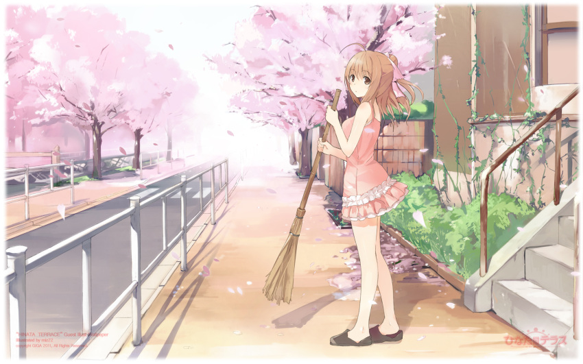 ahoge, bare_legs, broom, brown_eyes, brown_hair, cherry_blossoms, dress, fading_borders