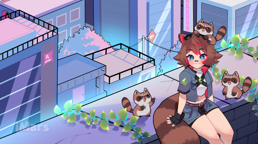 1girl, :3, animal_ears, arm_support, artist_name, bandaid, bandaid_on_face, bandaid_on_nose, belt, black_gloves, black_shorts, blue_eyes, blue_jacket, blue_overskirt, blush, bright_pupils, brown_hair, brown_tail, building, character_name, chest_strap, city, colored_tips, commentary, commission, criss-cross_straps, cropped_shirt, fingerless_gloves, gloves, goggles, goggles_on_head, hair_flaps, highres, imars, indie_virtual_youtuber, jacket, leaf_brooch, midriff, multi-source_commentary, multicolored_hair, on_roof, plant, power_lines, raccoon, raccoon_ears, raccoon_girl, raccoon_tail, raised_eyebrows, rakkun_sutaru, rakkun_sutaru_(4th_costume), red_belt, red_hair, shirt, short_hair, short_sleeves, shorts, sitting, sitting_on_roof, sitting_on_wall, spanish_commentary, striped_tail, tail, utility_pole, vines, virtual_youtuber, watermark, white_pupils, white_shirt