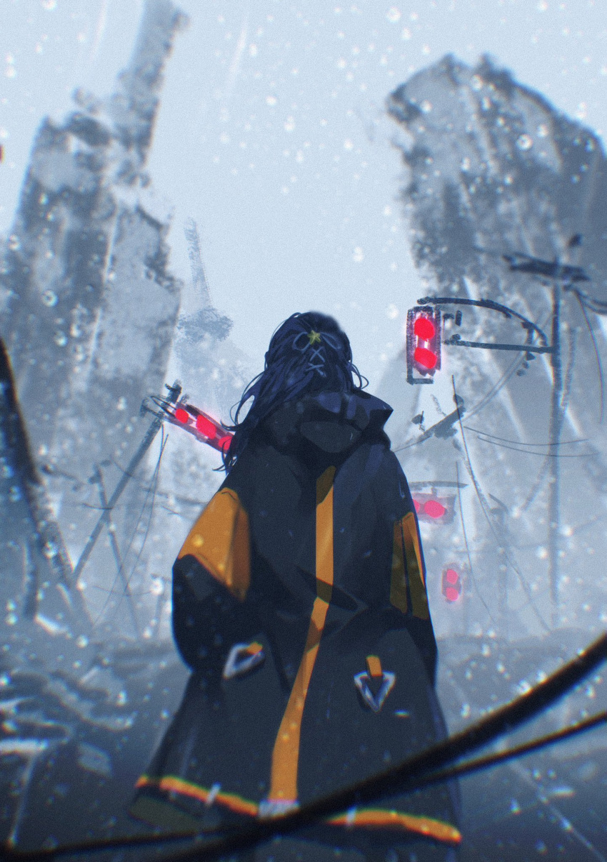 1girl, aimai_mayday, black_coat, blue_ribbon, coat, facing_away, from_behind, grey_sky