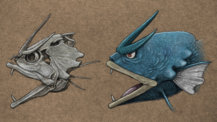 brown_background, cropped_head, fangs, fins, from_side, gyarados, highres, multiple_views