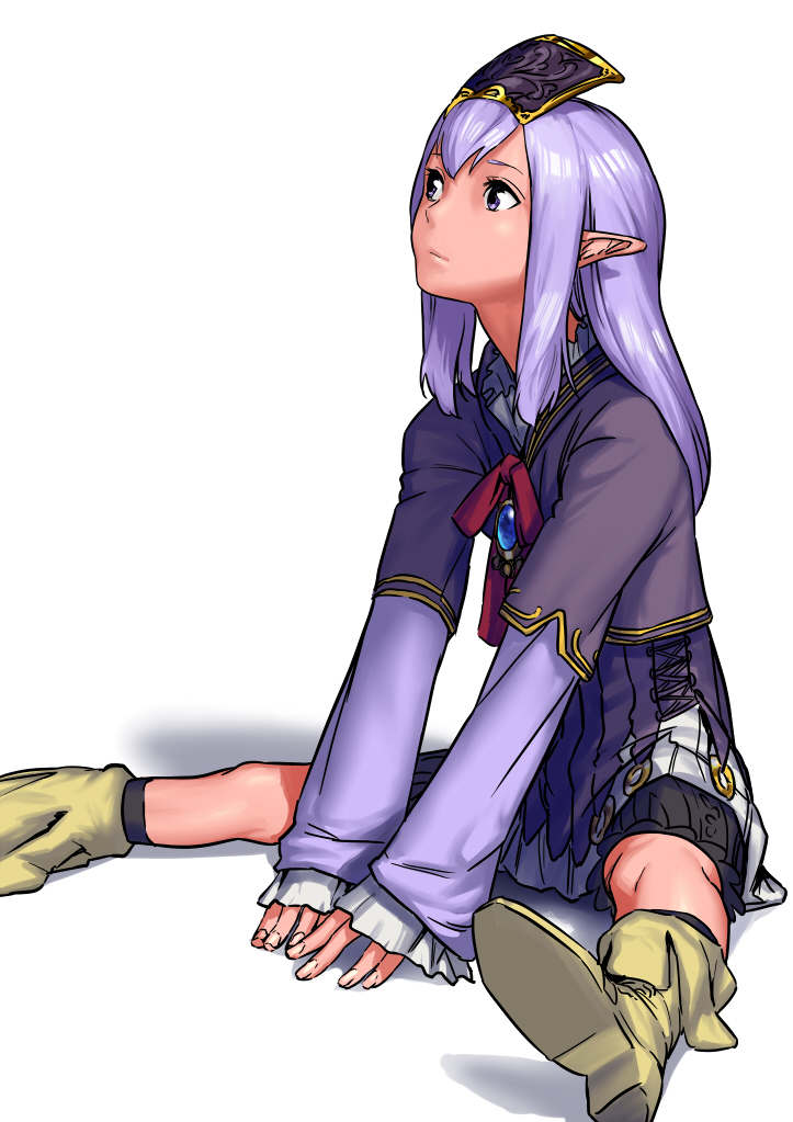elf, elvaan, final_fantasy, final_fantasy_xi, long_hair, pointy_ears, prishe, purple_eyes