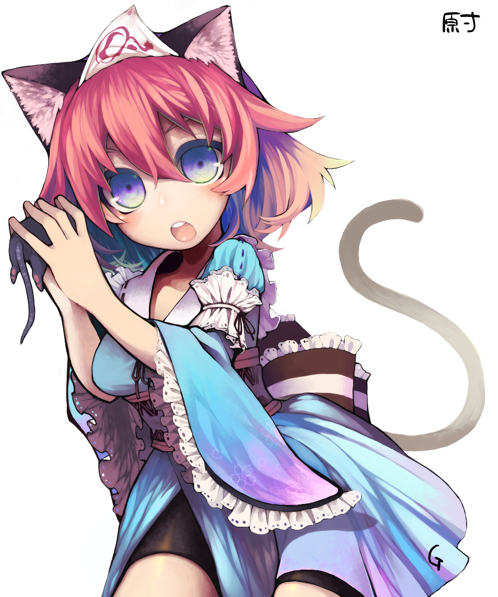 animal_ears, bike_shorts, blue_eyes, blush, cat_ears, cat_tail, goose_h, highres