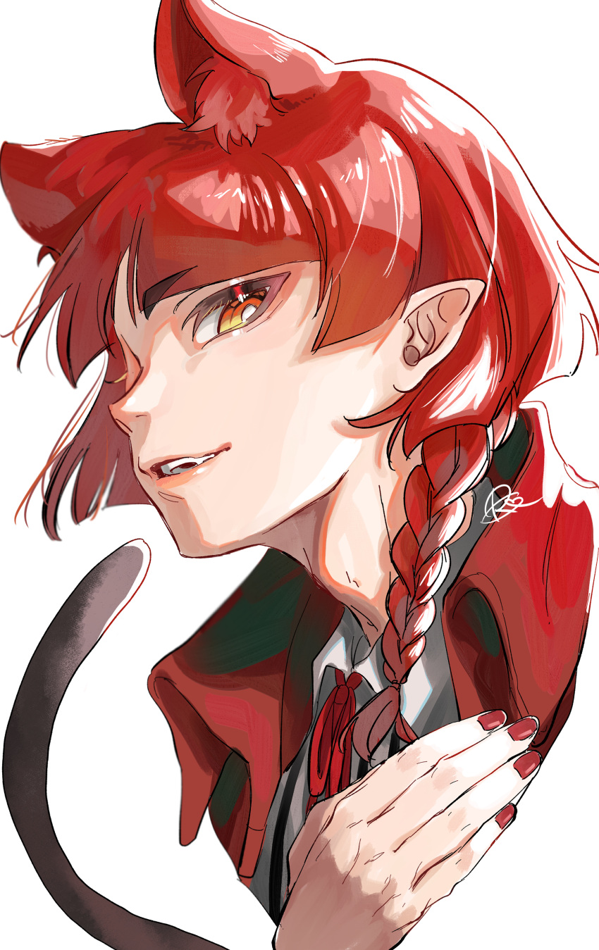 1other, absurdres, animal_ears, braid, cat_ears, highres, kr27, long_hair