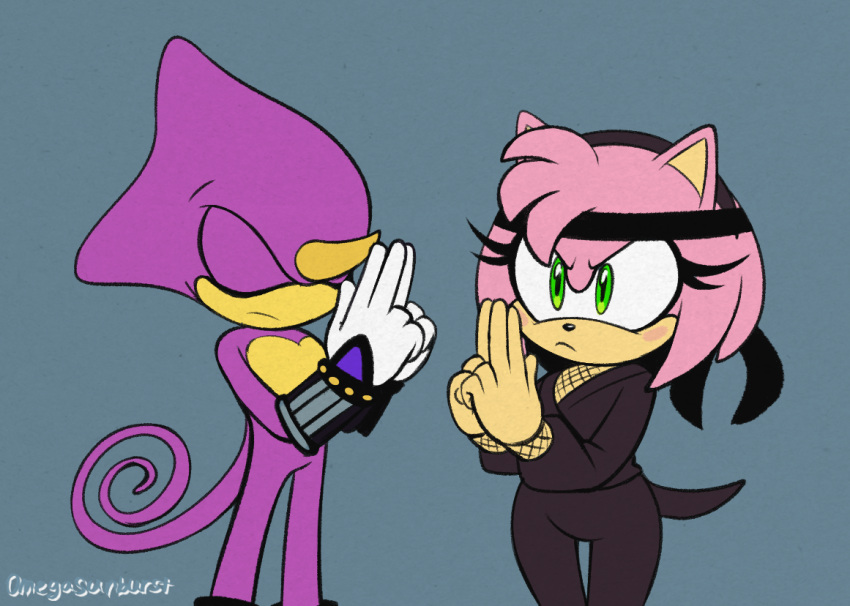 1boy, 1girl, amy_rose, chameleon_boy, closed_eyes, espio_the_chameleon, eyelashes, furry, furry_female, green_eyes, hedgehog_girl, long_tail, ninja, omegasunburst, pink_fur, short_tail, sonic_(series), tail, very_long_tail