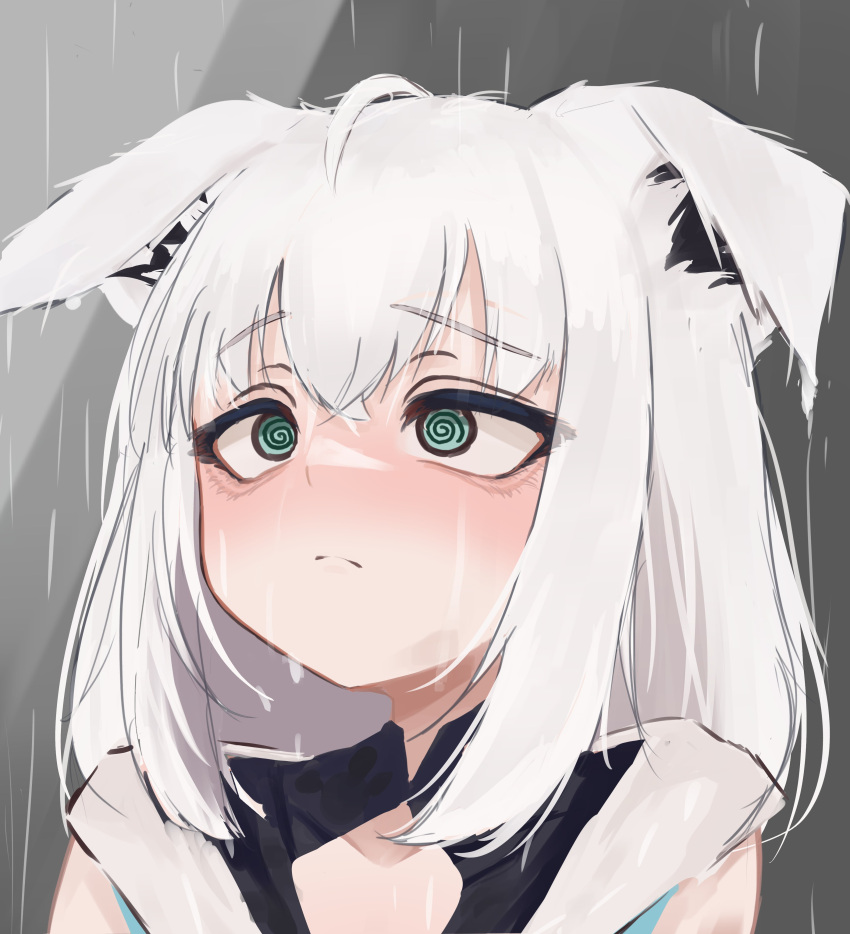 1girl, @_@, absurdres, animal_ears, blue_eyes, closed_mouth, collarbone, grey_background, highres, hololive, looking_up, lucien_000298, medium_hair, open_clothes, portrait, rain, sad, shirakami_fubuki, simple_background, solo, solo_focus, upper_body, virtual_youtuber, white_hair