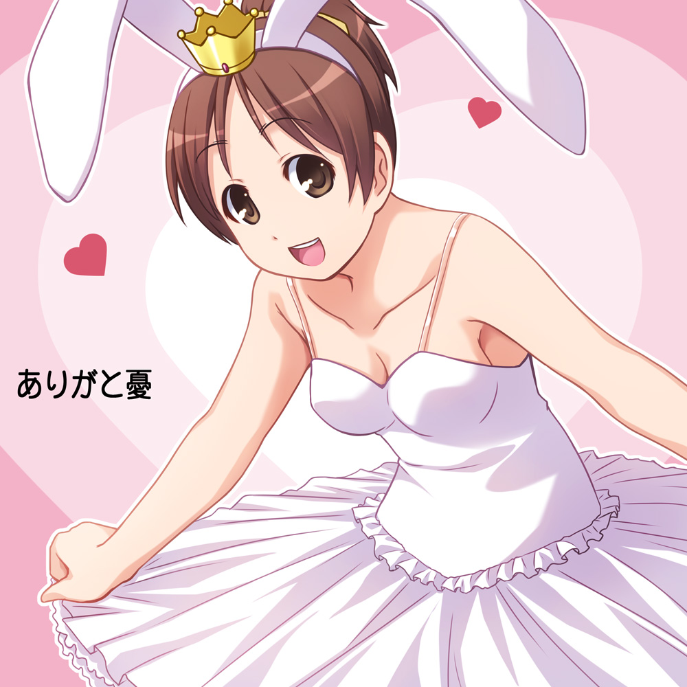 animal_ears, arigato_usagi, arigato_usagi_(cosplay), arigatou_usagi, arigatou_usagi_(cosplay), breasts, brown_eyes, brown_hair
