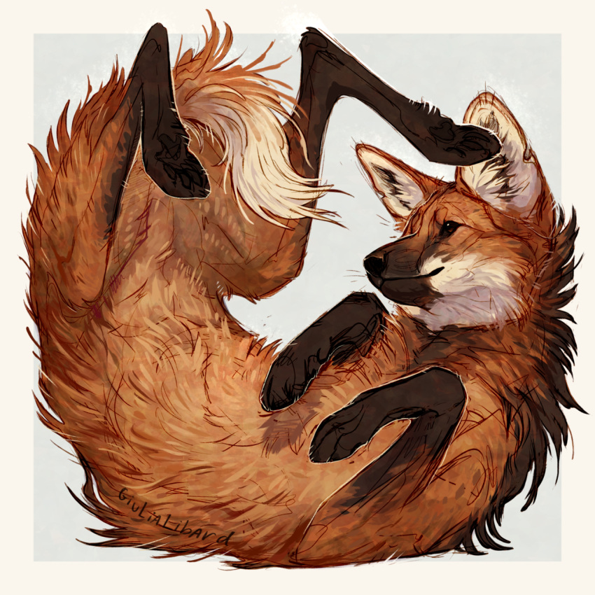 animal, animal_focus, brown_fur, fluffy, giulialibard, highres, looking_at_viewer, maned_wolf