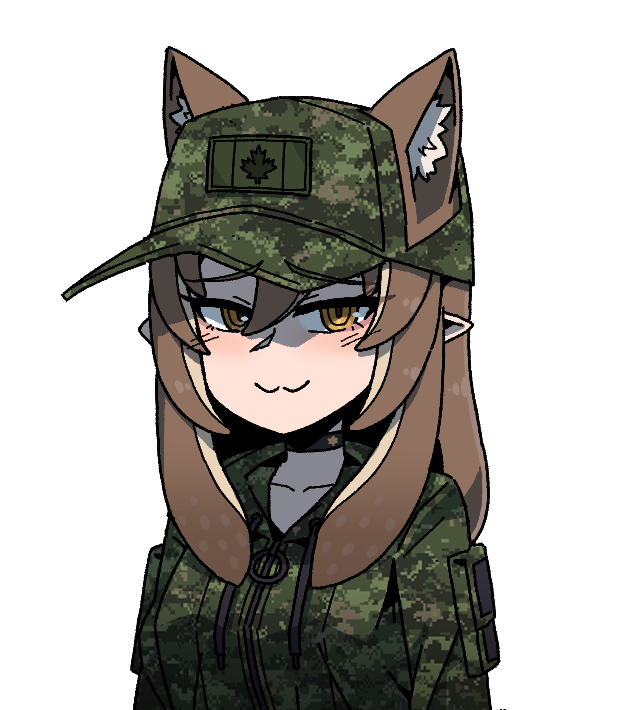 1girl, :3, animal_ear_fluff, animal_ears, blush, brown_eyes, brown_hair, cadpat