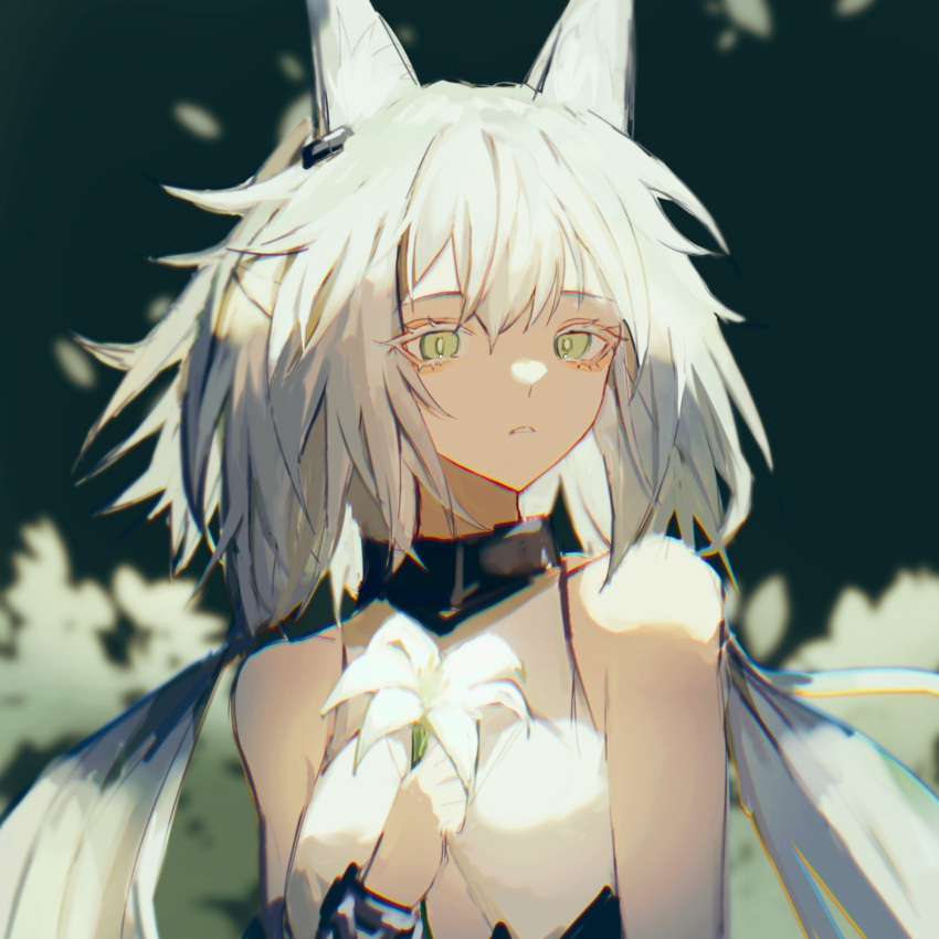 1girl, animal_ears, anpoai, arknights, bare_shoulders, black_background, bright_pupils, chinese_commentary