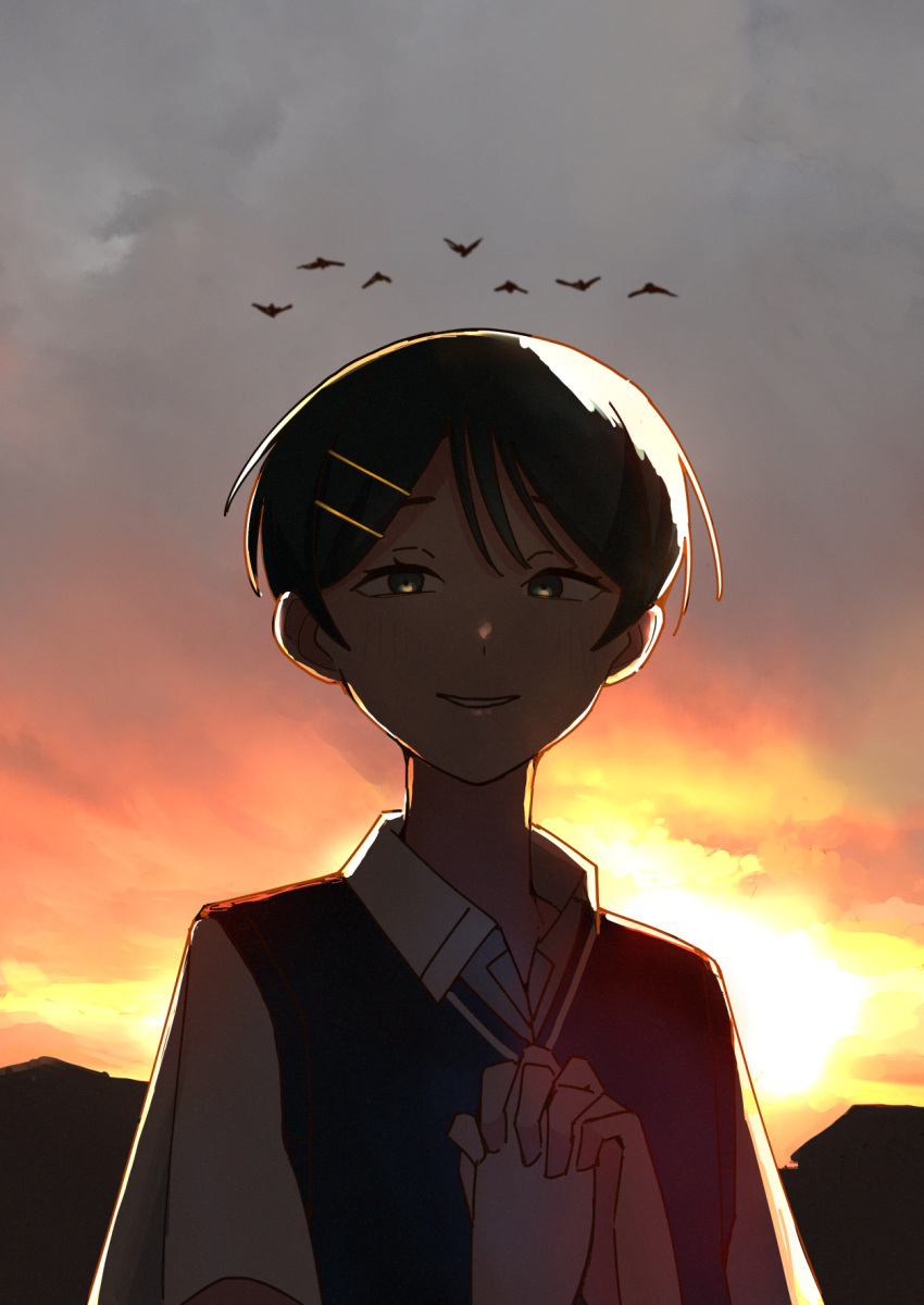 1girl, backlighting, bird, black_sweater_vest, blush, clouds, cloudy_sky, collared_shirt